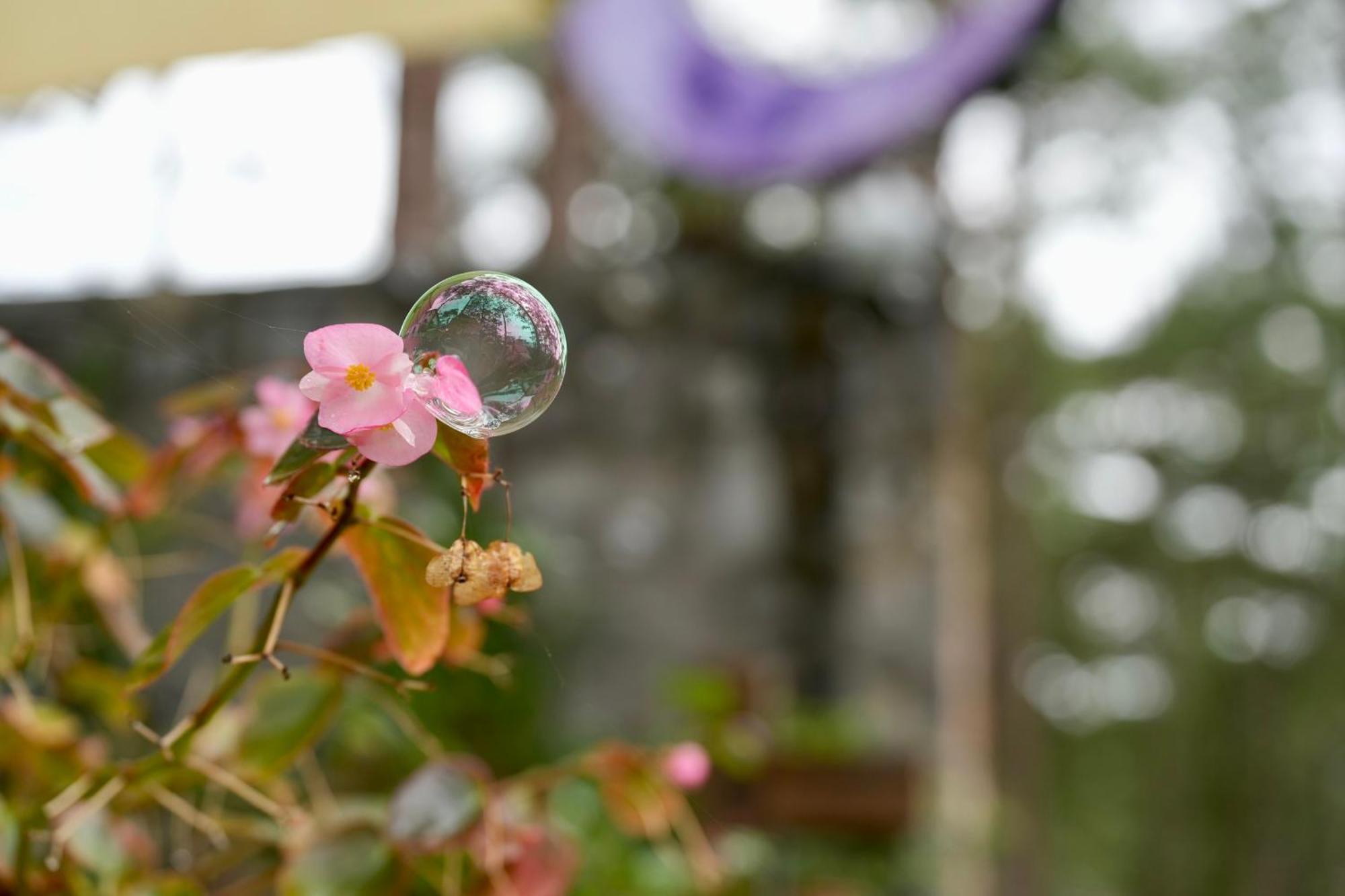 De Vivre Homestay Mang Den Kon Von Kla Bagian luar foto